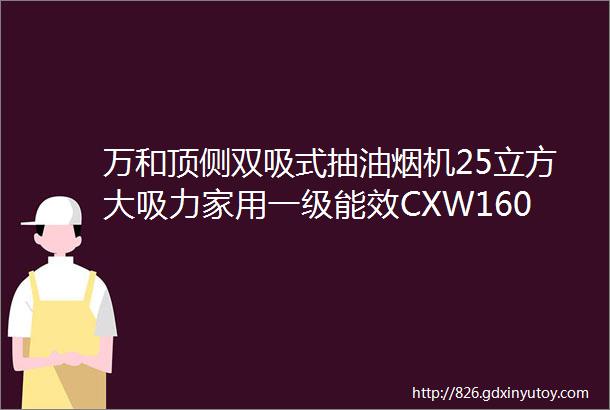 万和顶侧双吸式抽油烟机25立方大吸力家用一级能效CXW160L28FS