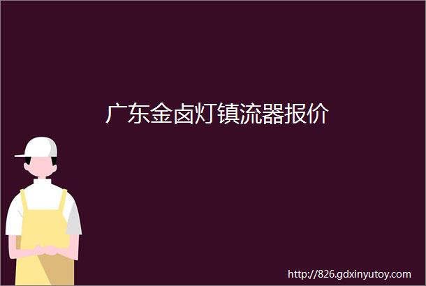 广东金卤灯镇流器报价