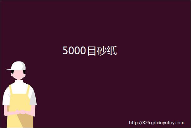 5000目砂纸