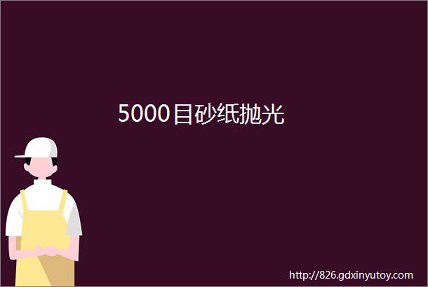 5000目砂纸抛光